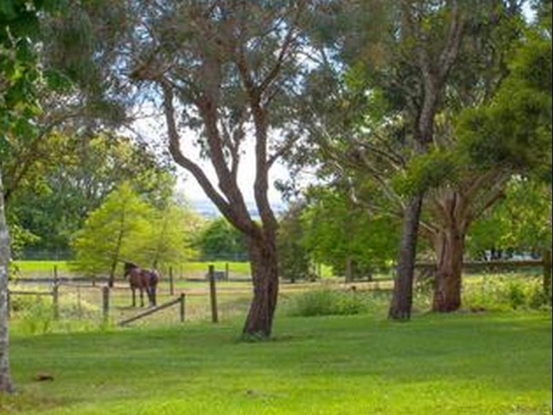 Lakes And Craters Holiday Park Camperdown Buitenkant foto
